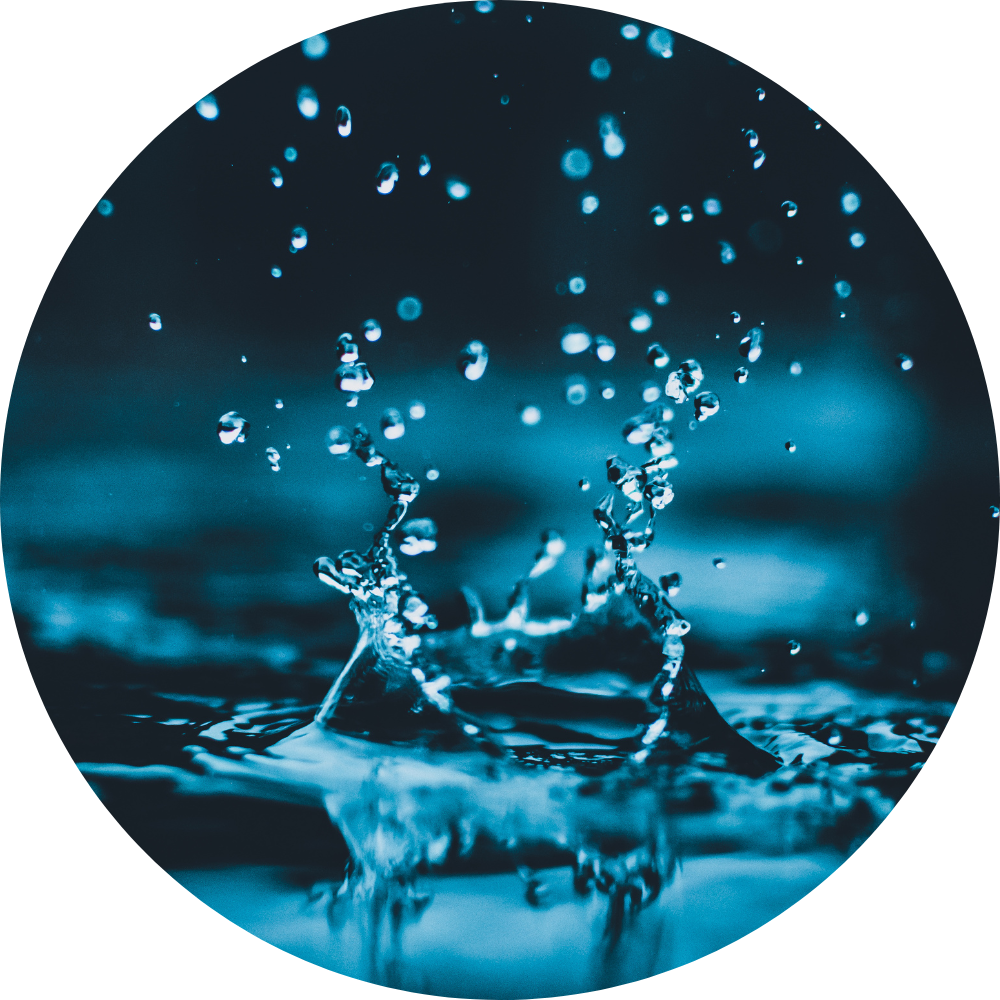 Aquatic