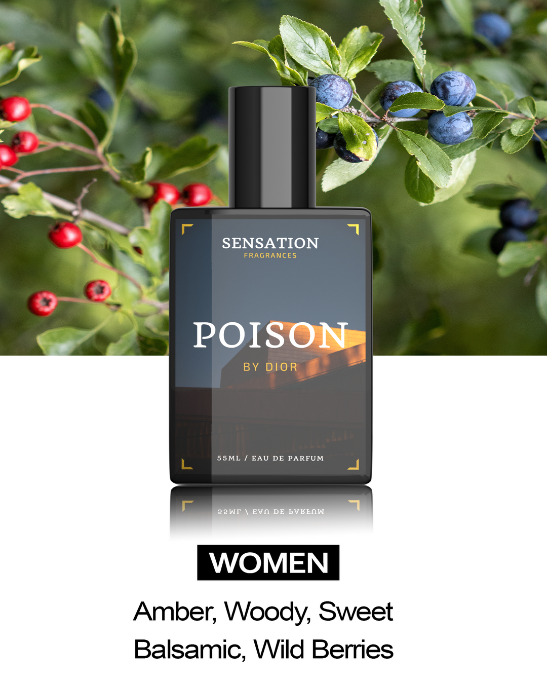 Our Impression Of Poison for women